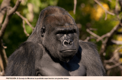 Captura-de-pantalla-2013-06-26-a-las-18.51.17