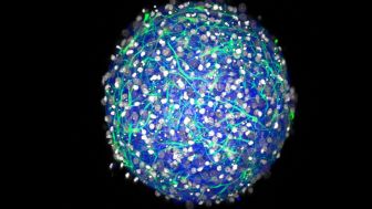 esfera-persigue-superar-modelos-bidimensionales_72002899_63642_1706x960