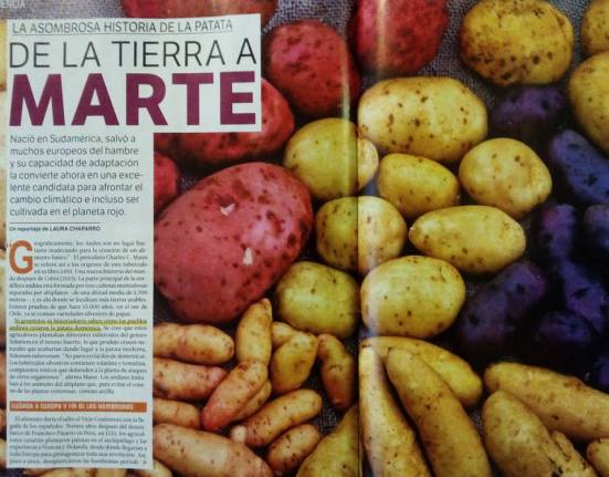 1924126_10156691747435717_5067365830114878720_n