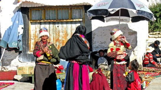 Genetica-Himalaya-Comunidad_Andina-Ciencias_naturales-Investigacion_218988590_35110272_1024x576